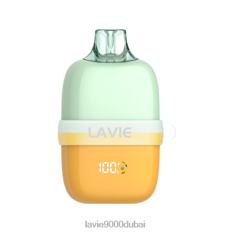 حقيبة